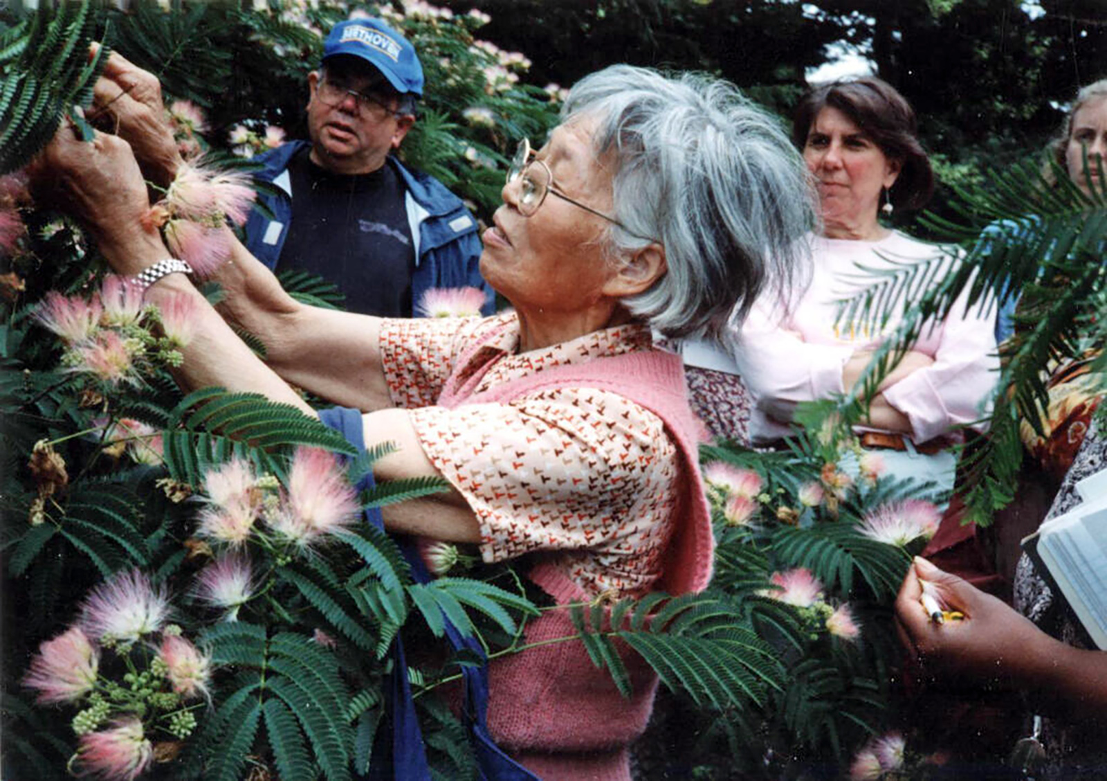 Shiu Ying Hu teaches at a silk tree at the Arnold Arboretum