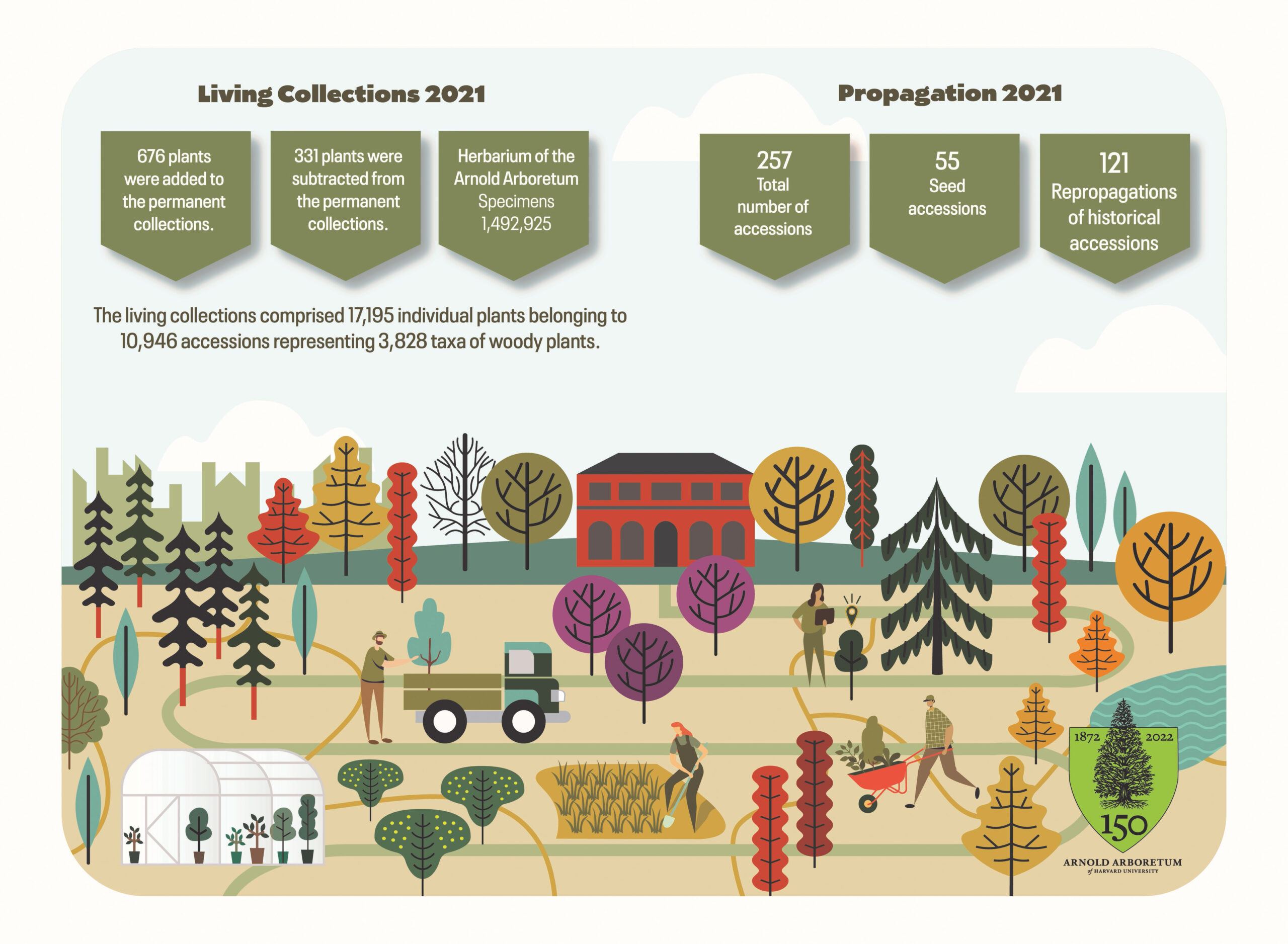 The living collections of the Arnold Arboretum by the numbers in 2021