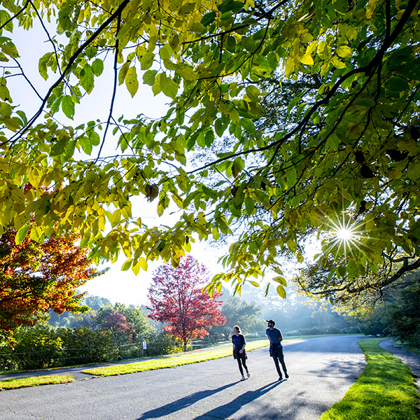 Arnold Arboretum landscape and visitors