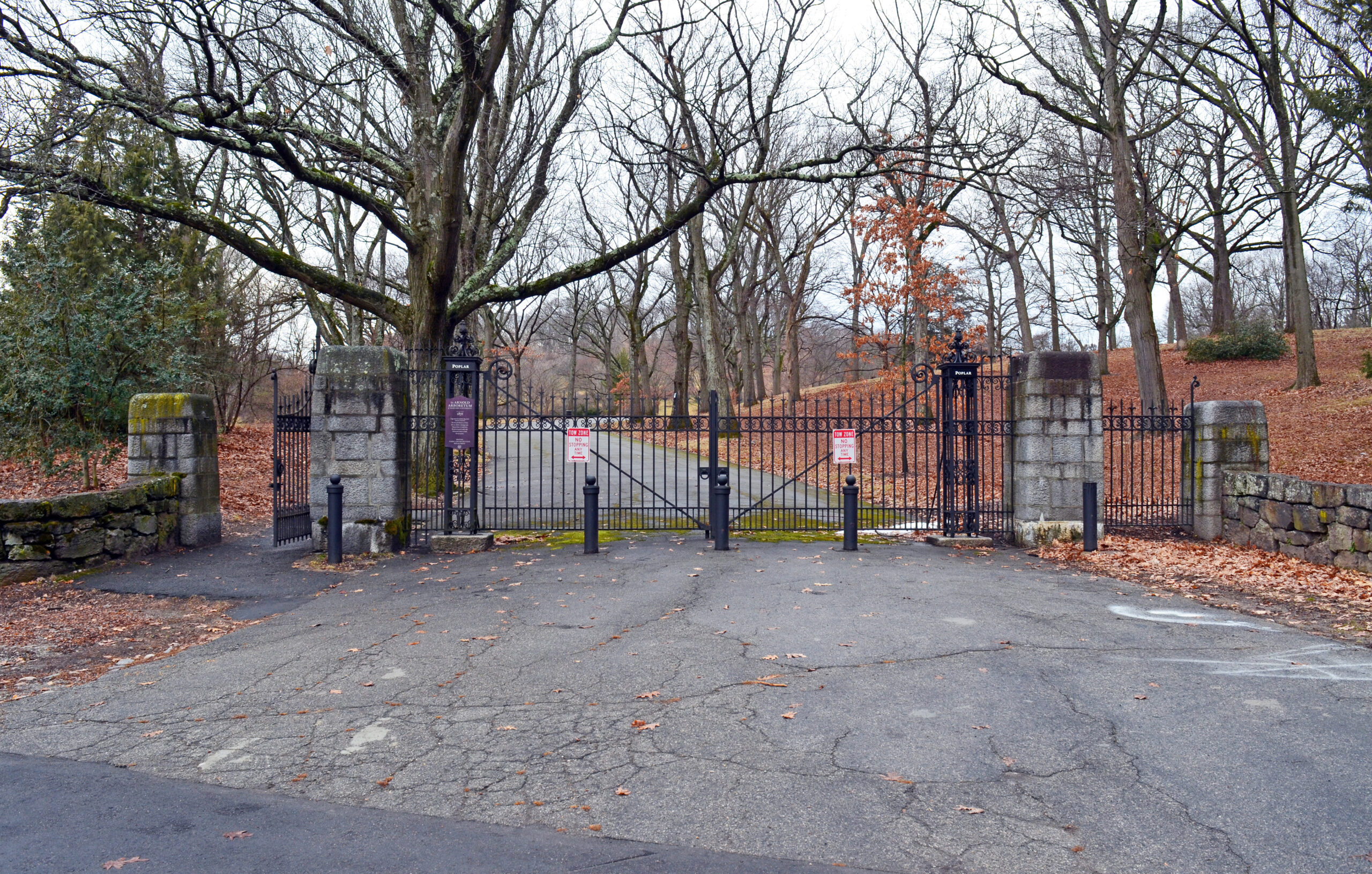 Contemporary photograph of Poplar Gate at Peters Hill.