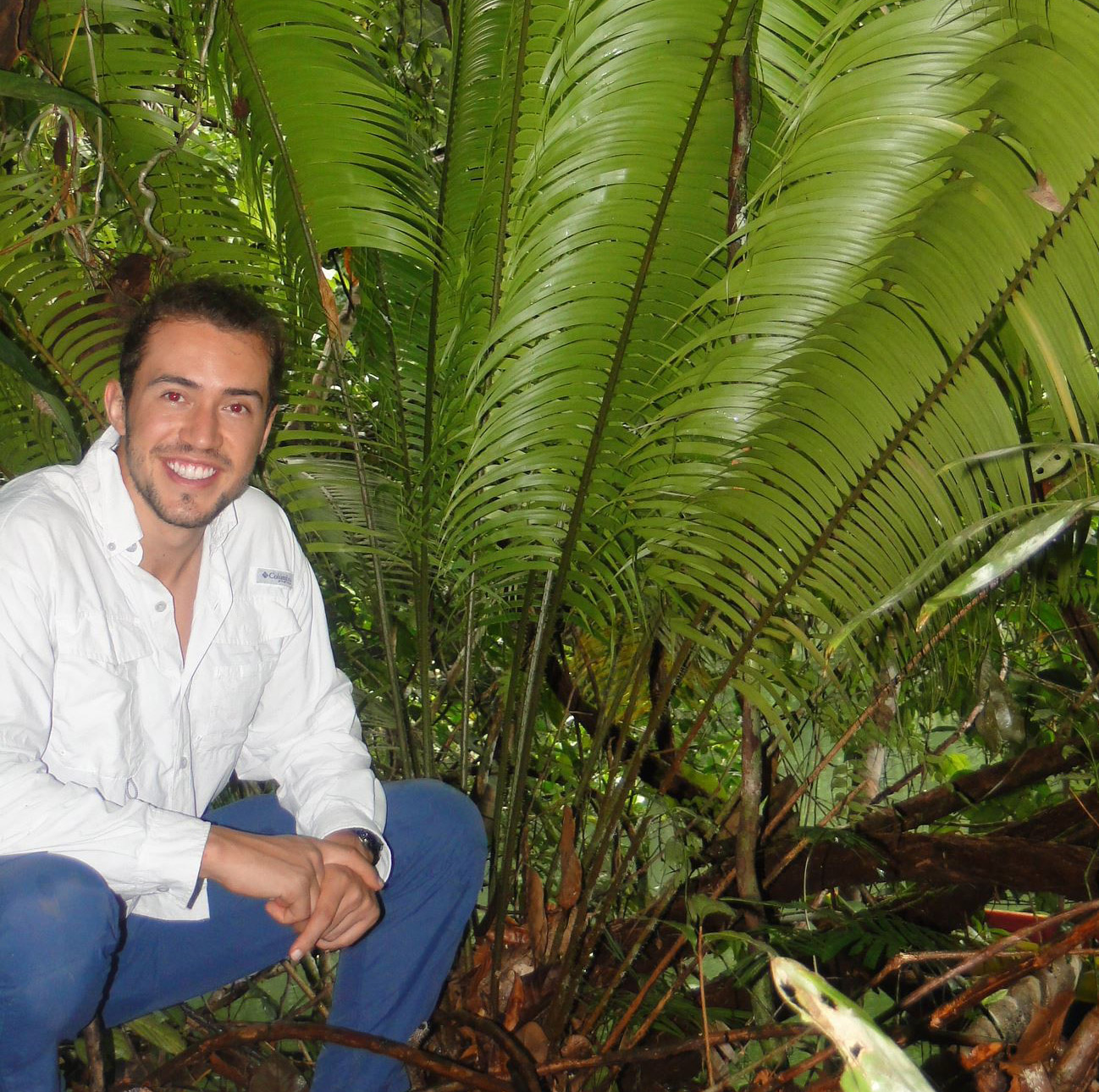 Daniel Faccini