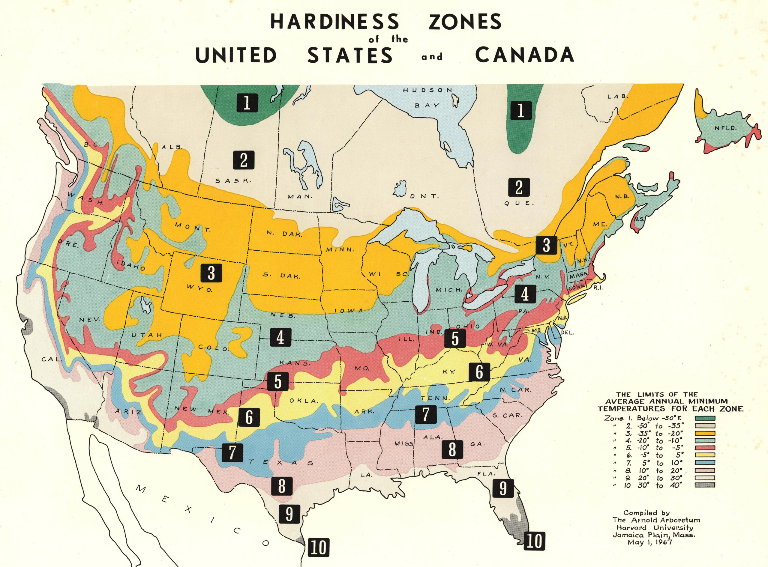 Hardiness zone map updated in 1967 by the Arnold Arboretum.