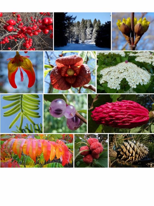 2017 plant highlights by Ned Friedman
