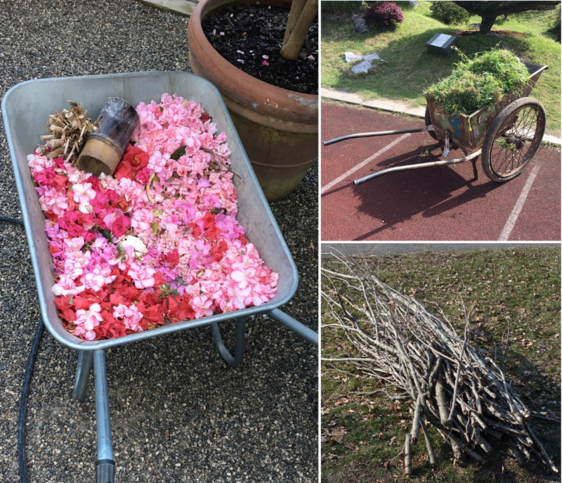 two wheelbarrows filled with plants photographed by Ned Friedman