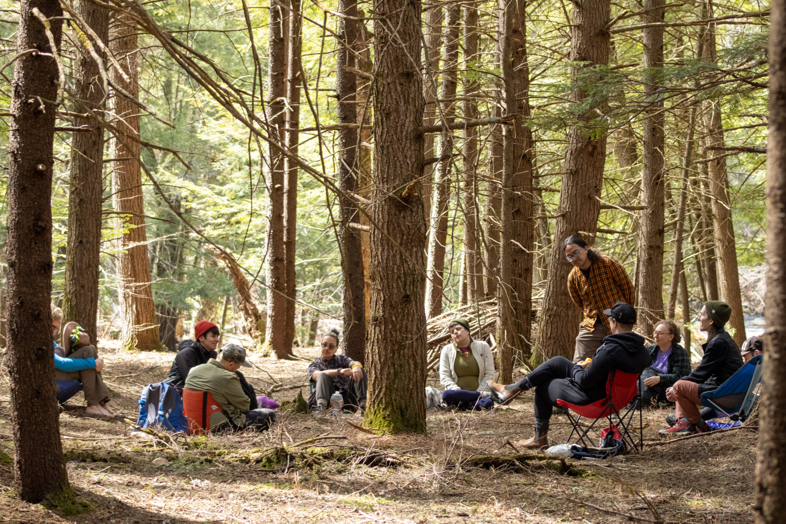 A group of people sits in a forest grove