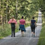3 women walk down a long forest path
