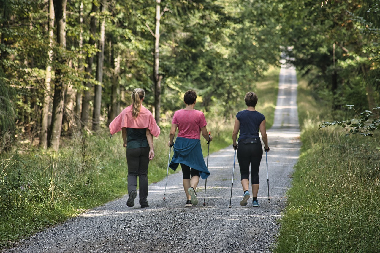 3 women walk down a long forest path