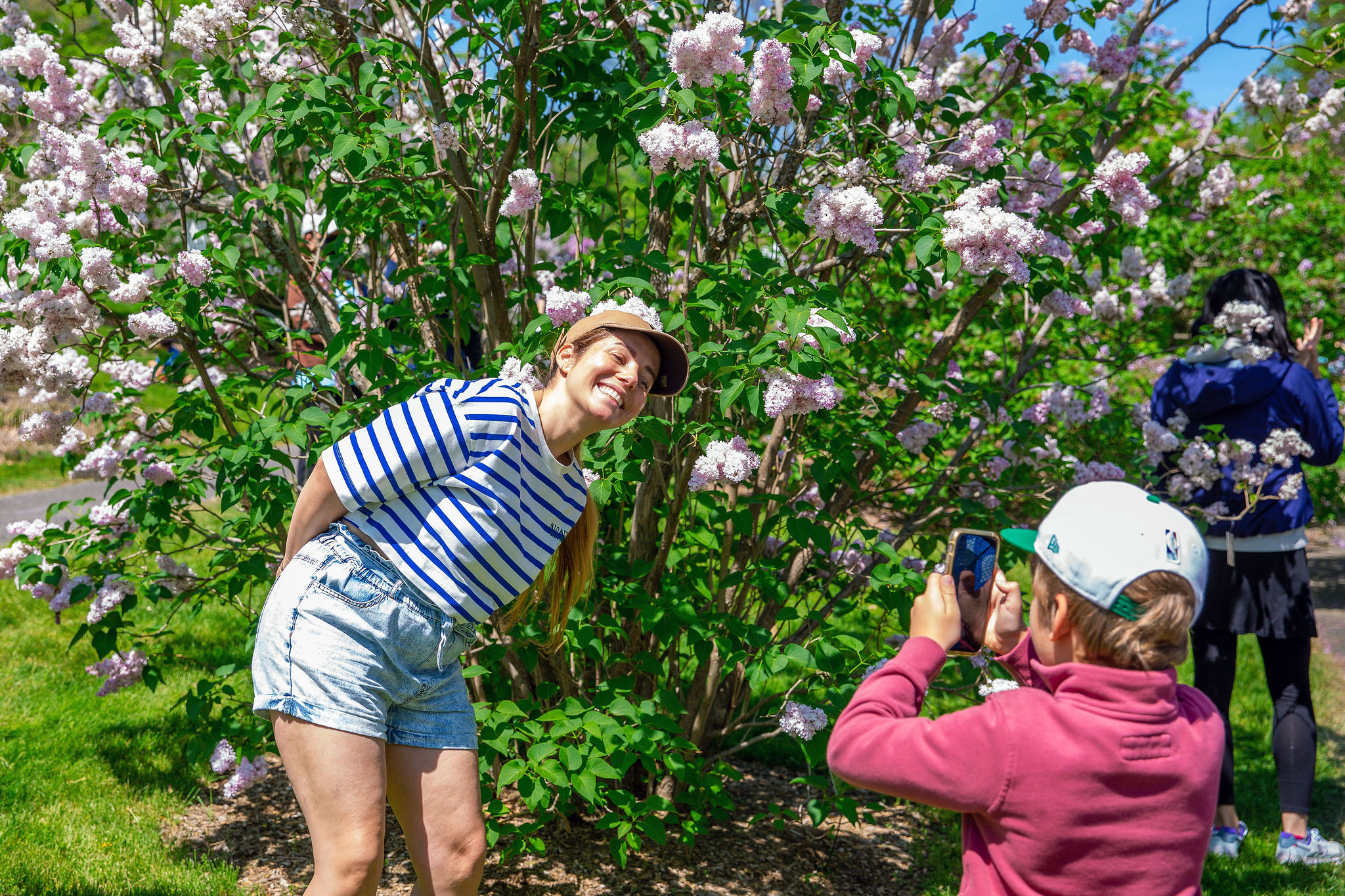 Person in striped shirt poses in front of a lilac while a child takes a photo.