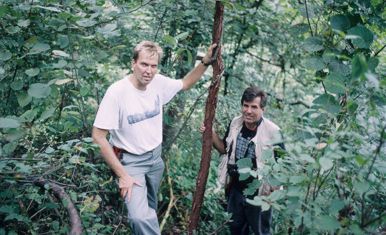 Paul W. Meyer and Peter Del Tredici stand by a paperbark maple (Acer griseum) on Wudang Shan, a mountain in Northern Hubei Province, China in 1994