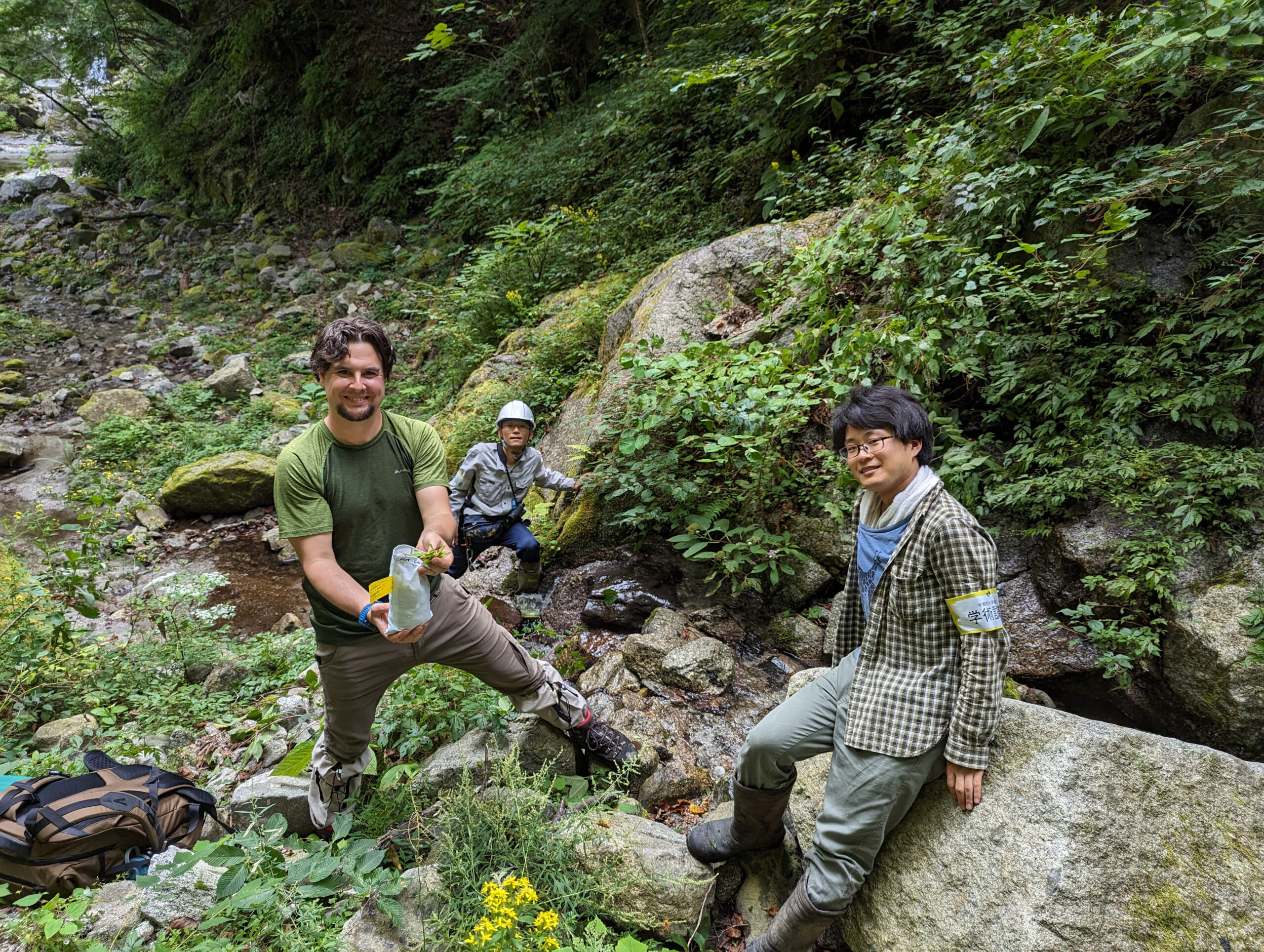 Miles Schwartz Sax (left) displays his haul of Acer carpinifolium seeds as Yoshinari Hata (right) and Mineaki Aizawa (background) look on