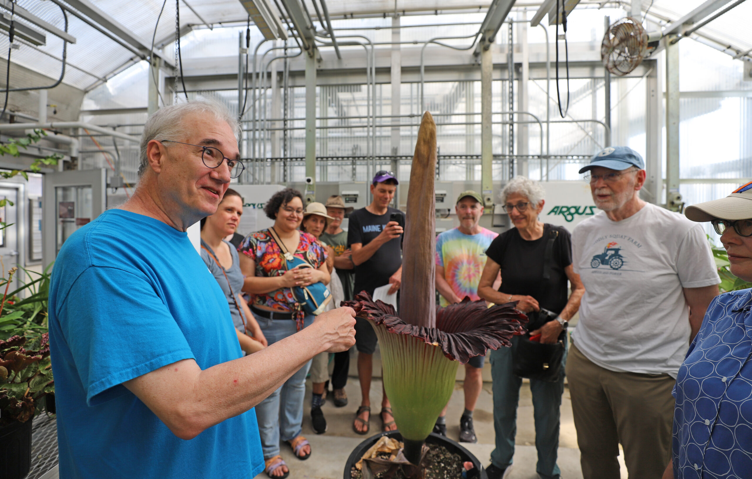 Arnold Arboretum director William (Ned) Friedman at left talks to Arboretum members about the corpse plant in the Weld Hill greenhouses