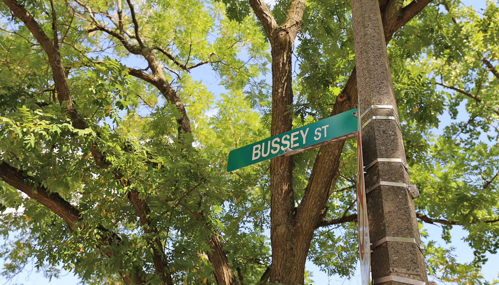 Street Sign for Bussey Street in Boston
