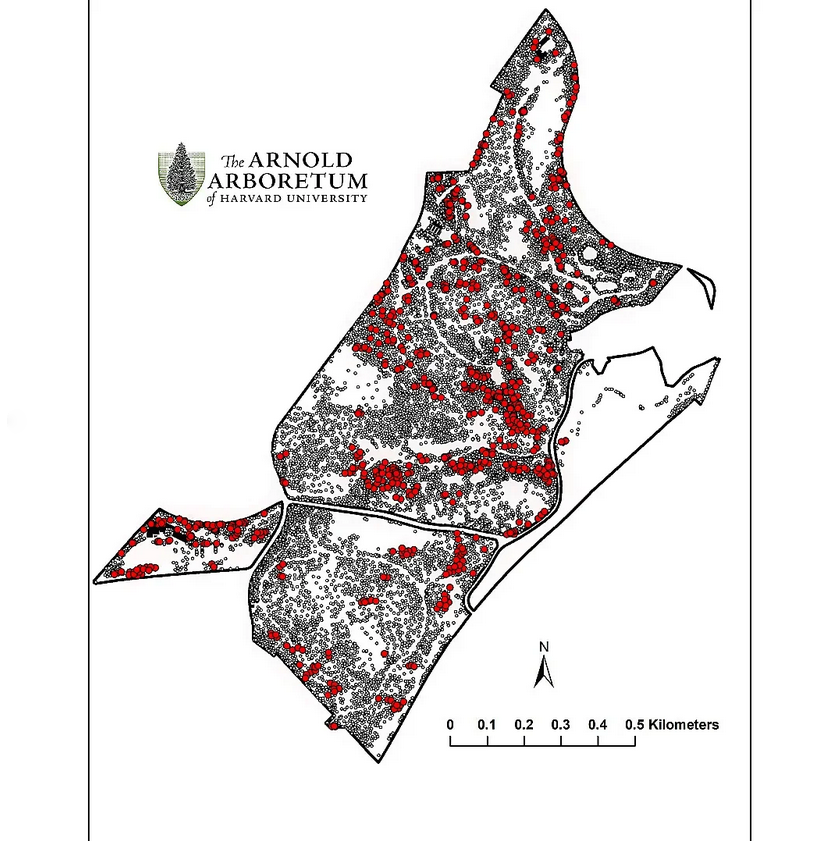 Some 700 accessions from the Campaign have been planted across the Arboretum landscape, with many additional acquisitions maturing in its propagation and production facilities