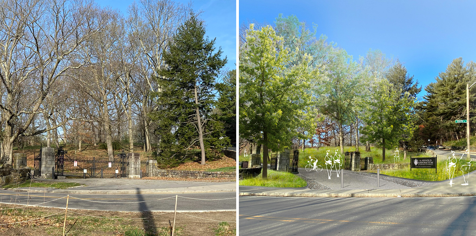 Existing view and design rendering of Poplar Gate entrance to the Arnold Arboretum's Peters Hill