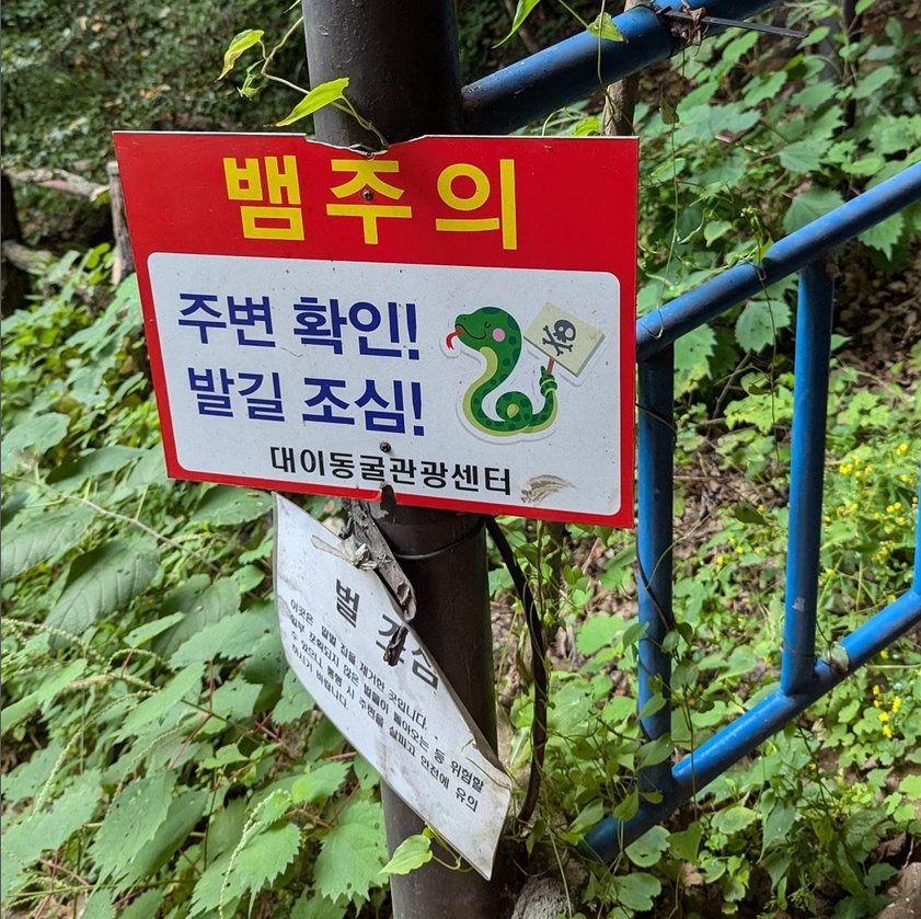 Signage warns travelers of the presence of pit vipers along the trail