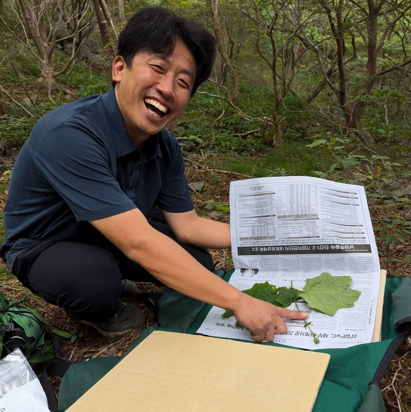 Professor Hui Kim from Mokpo University prepares an herbarium voucher of Kirengeshoma palmata