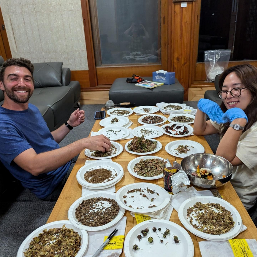 Seeds from the expedition being cleaned by Chris Copeland and Hyunah Kim