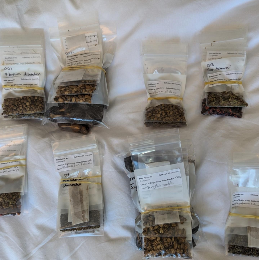 Seeds of each plant taxa packaged and labeled for shipment