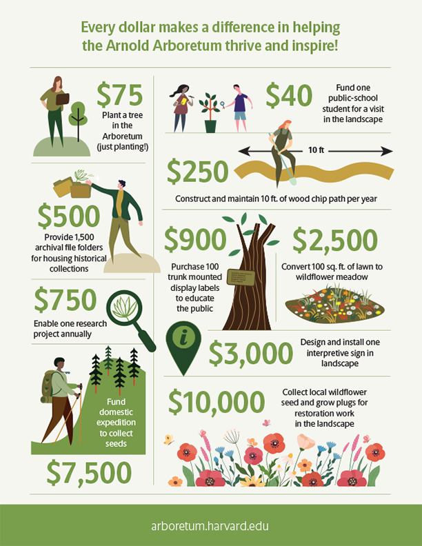 Annual Appeal 2024 Funding Graphic