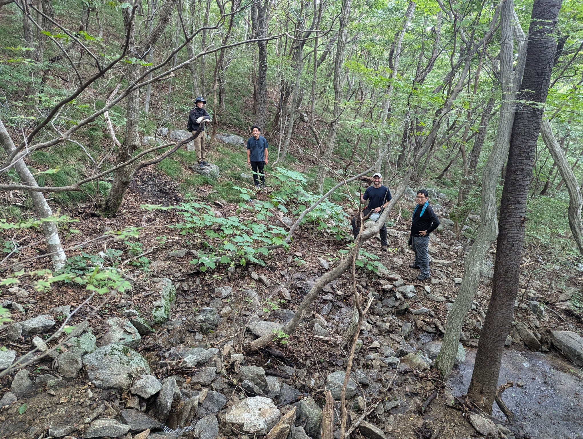 Four people pose for a photo while hiking a steep incline in dense foliage.