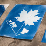 Blue and white silhouettes of a maple leaf