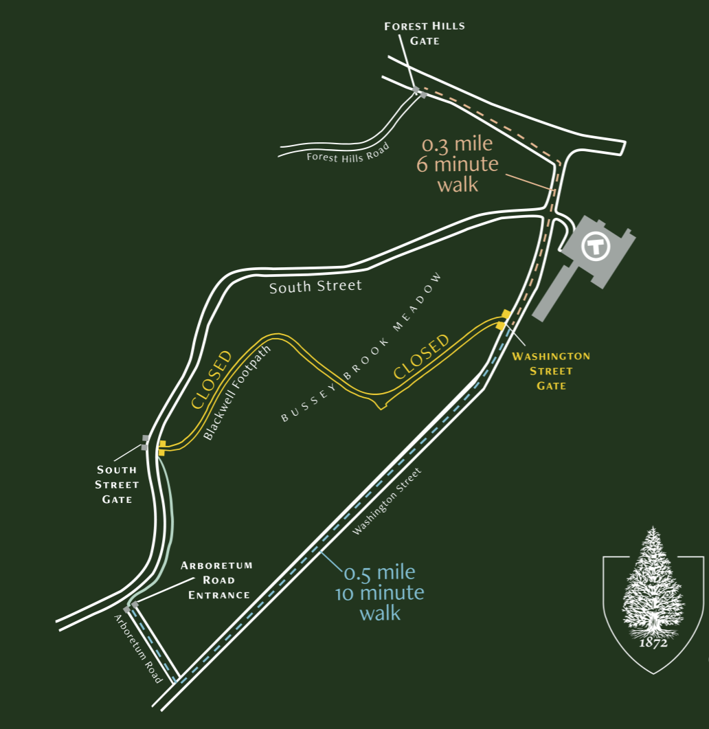 Alternate points of access for Arnold Arboretum visitors during the renovation of the Washington Street Entrance