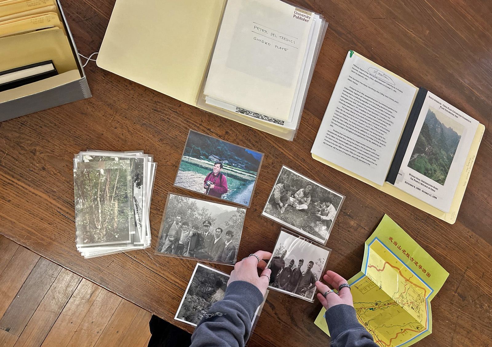 Intern Jay Clark sorts expedition photographs in protective mylar sleeves, a map, and the trip report for the 1994 NACPEC expedition to the Wudang mountains in Hubei Province, China