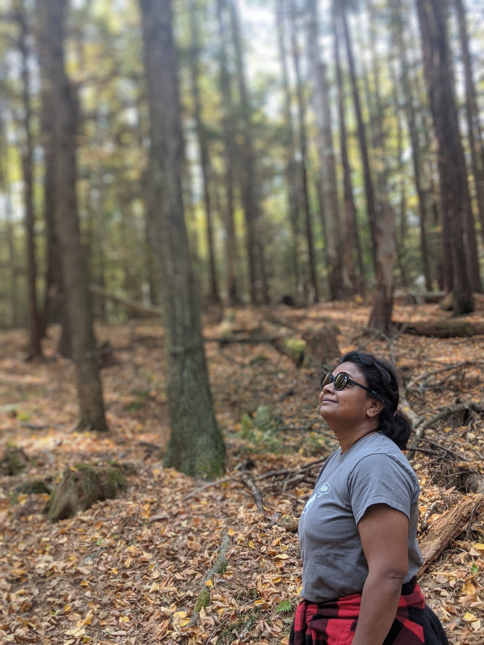Woman with sunglasses looks up at the trees