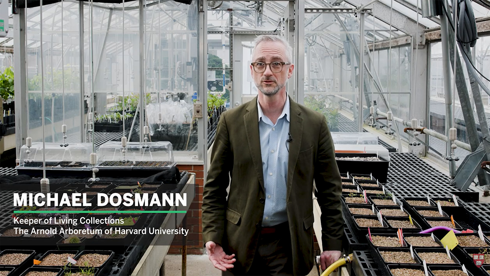Michael Dosmann at the Dana Greenhouses